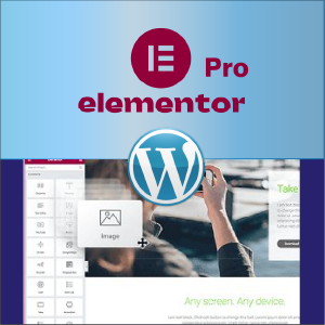 Elementor Pro with GPL License